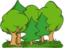 obrázek zpráva Procházka do lesa